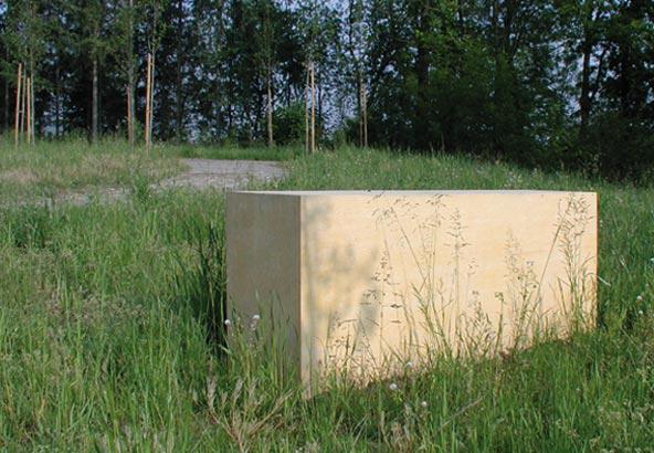 Marius Brühlmeier Künstler, Architekt ETH